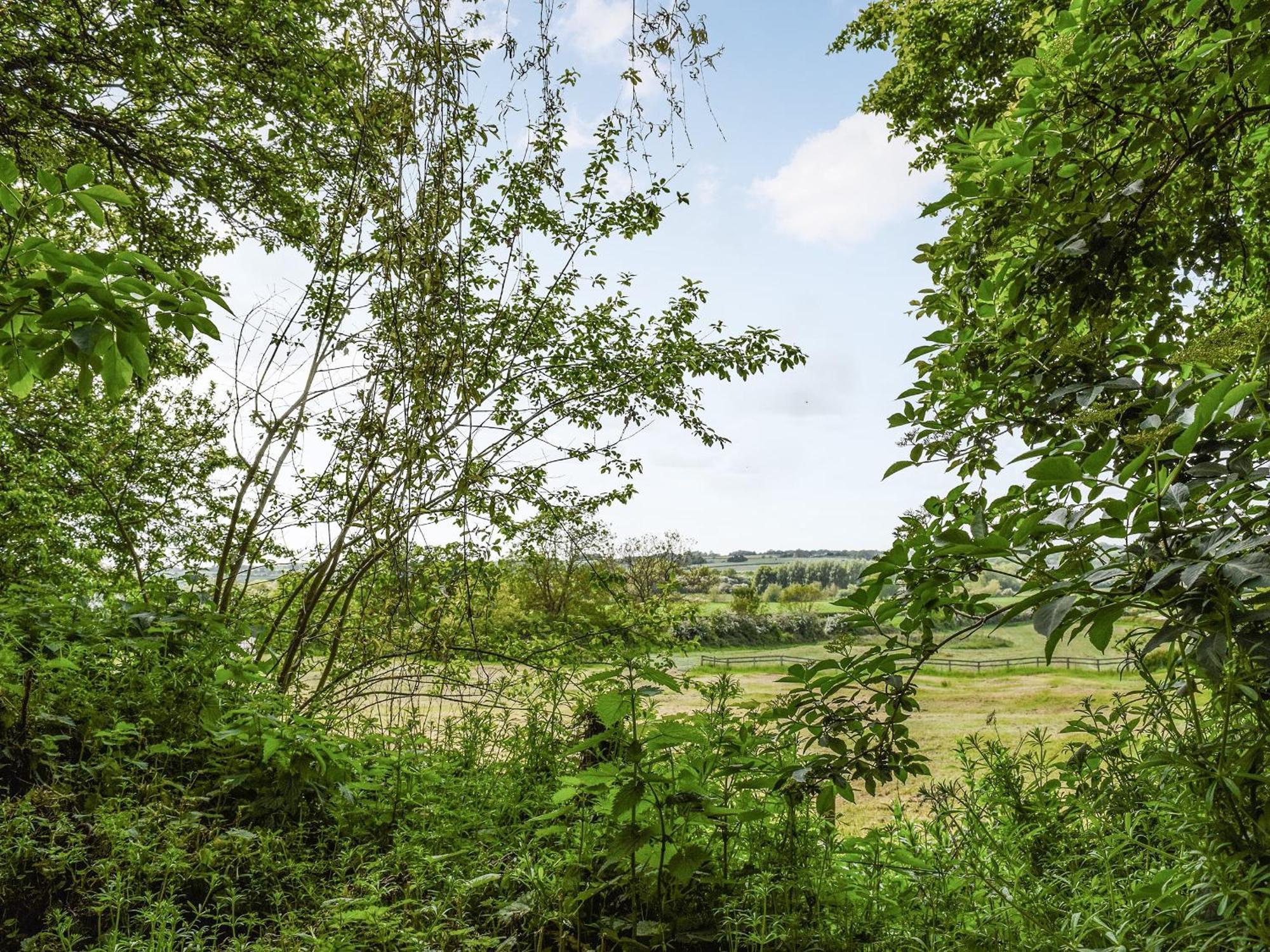 Wayside Cottage Adstock エクステリア 写真